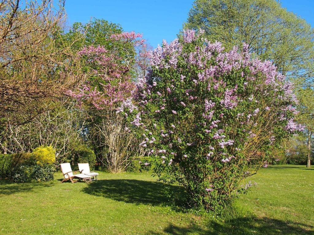 Gite De Charme Au Bord Du Tarn Marssac-sur-Tarn Buitenkant foto