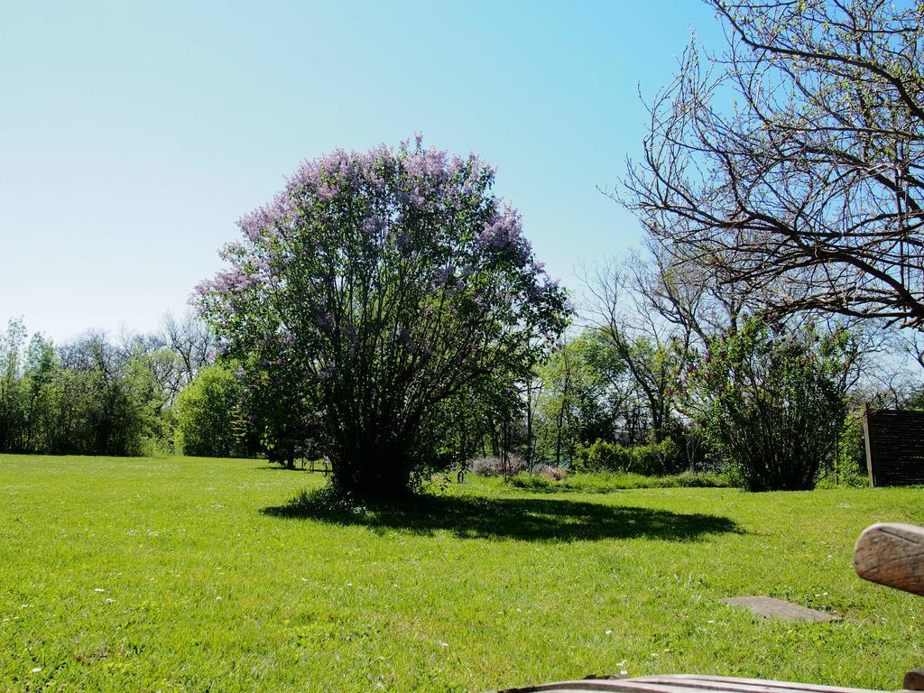 Gite De Charme Au Bord Du Tarn Marssac-sur-Tarn Buitenkant foto